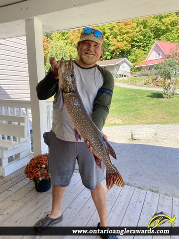 31.5" Northern Pike caught on Ahmic Lake