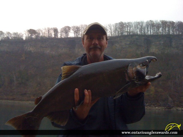 33" Coho Salmon caught on Niagara River