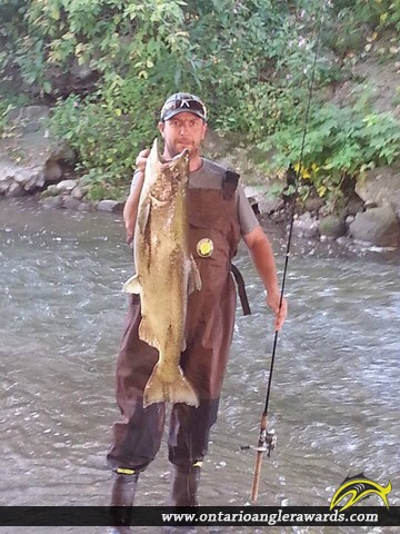 34" Coho Salmon caught on Cobourg Creek