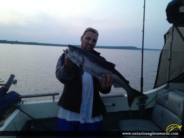 31" Coho Salmon caught on Georgian Bay