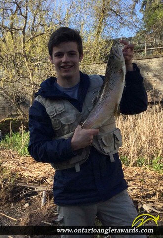 25" Brown Trout caught on Credit River