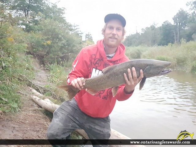 30" Coho Salmon caught on Bowmanville Creek