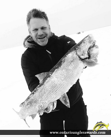 24.5" Whitefish caught on Lake Simcoe