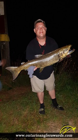 41" Coho Salmon caught on Lake Ontario 
