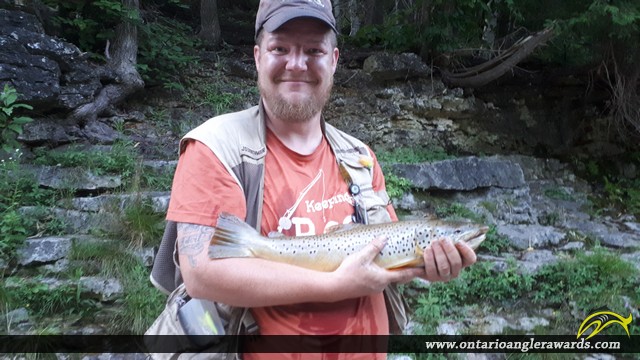 21" Brown Trout caught on Grand River