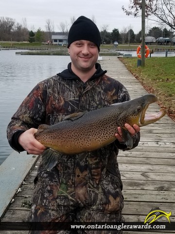 26" Brown Trout caught on Fifty Point Marina