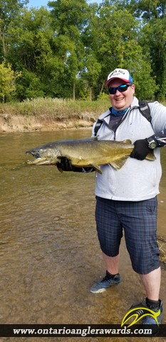 38" Chinook Salmon caught on Credit River