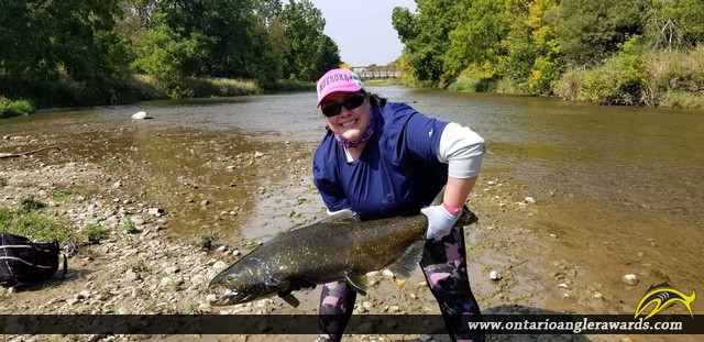 38" Chinook Salmon caught on Credit River