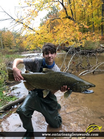 41.25" Chinook Salmon caught on Bronte Creek