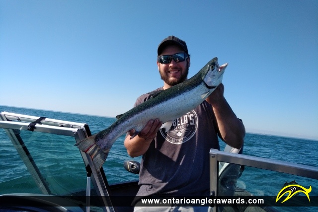 26.5" Rainbow Trout caught on Lake Erie