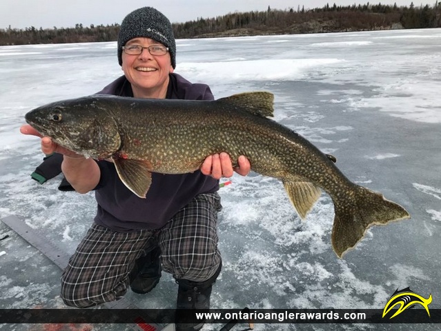 29.75" Lake Trout caught on Lake of the Woods (Ptarmigan Bay)