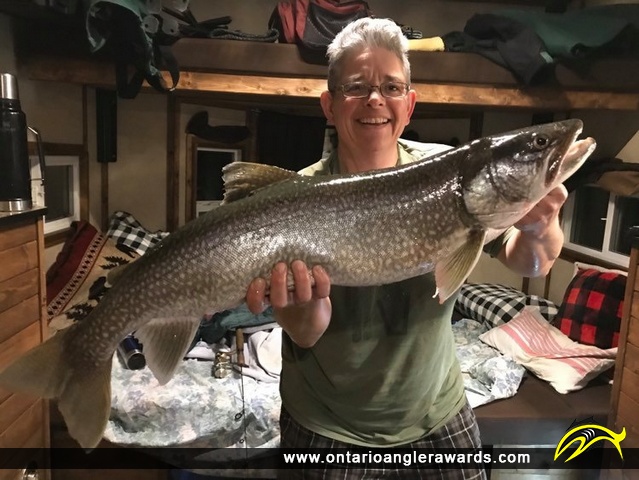 33" Lake Trout caught on Lake of the Woods (Ptarmigan Bay)