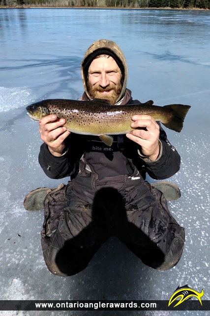 23" Brown Trout caught on Summit lake