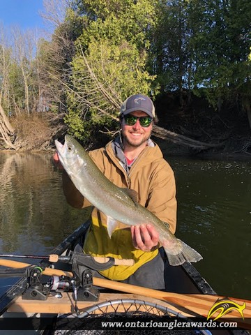 25" Rainbow Trout caught on Saugeen River