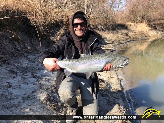 30" Rainbow Trout caught on Duffins Creek