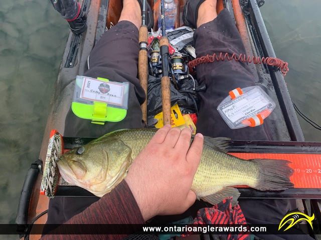 18.75" Largemouth Bass caught on Ottawa River 