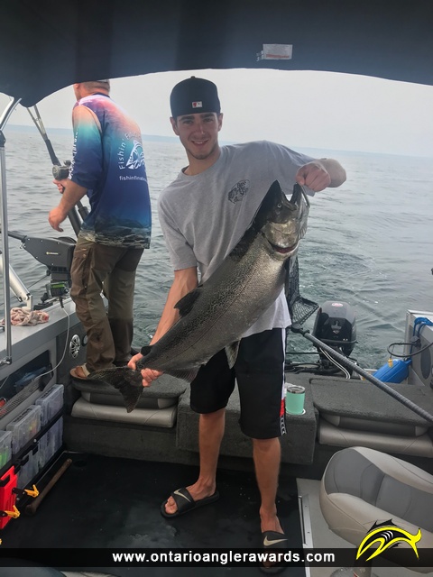 36" Chinook Salmon caught on Lake Ontario 