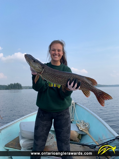 31.5" Northern Pike caught on Rice Lake