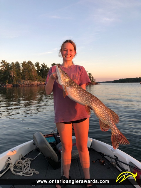 37" Northern Pike caught on Lake of the Woods (Whitefish Bay)