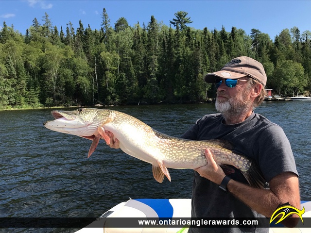 42" Northern Pike caught on Longbow Lake