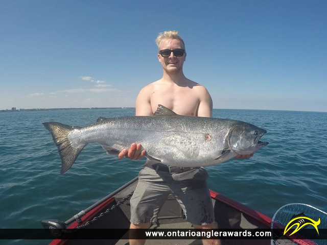39" Chinook Salmon caught on Lake Ontario