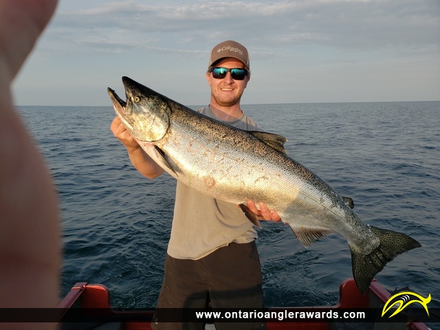 38.5" Chinook Salmon caught on Lake Ontario
