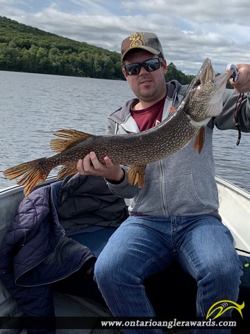 33" Northern Pike caught on Lake Vernon