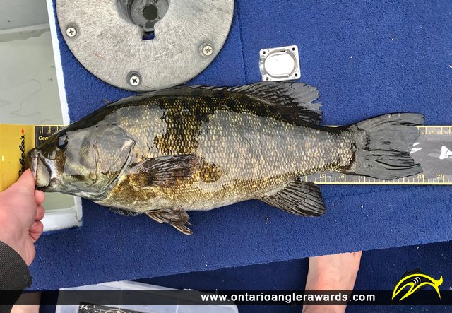20" Smallmouth Bass caught on Bass Lake