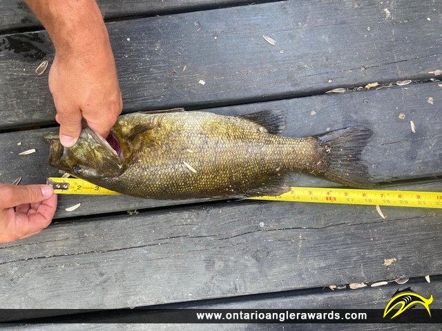 18" Smallmouth Bass caught on Longpine Lake