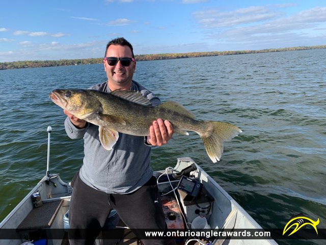 30" Walleye caught on Lake of the Woods