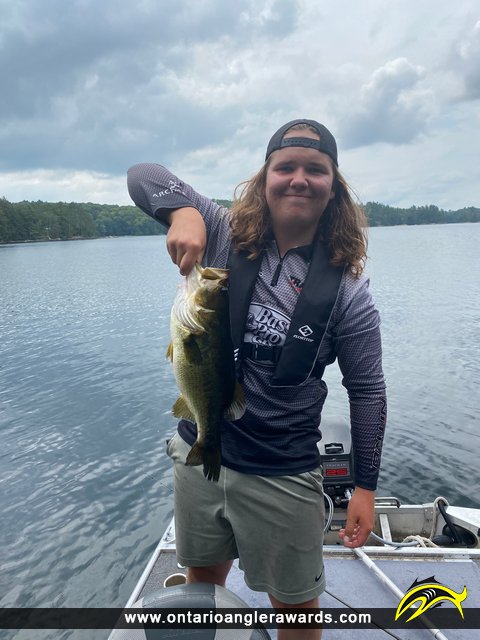 19" Largemouth Bass caught on Bighawk Lake