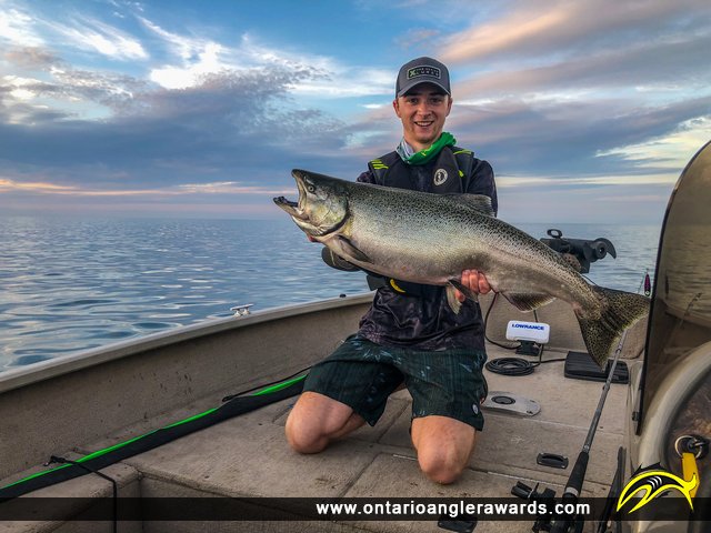 36" Chinook Salmon caught on Lake Ontario