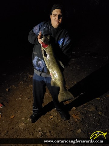 37" Chinook Salmon caught on Bronte Creek