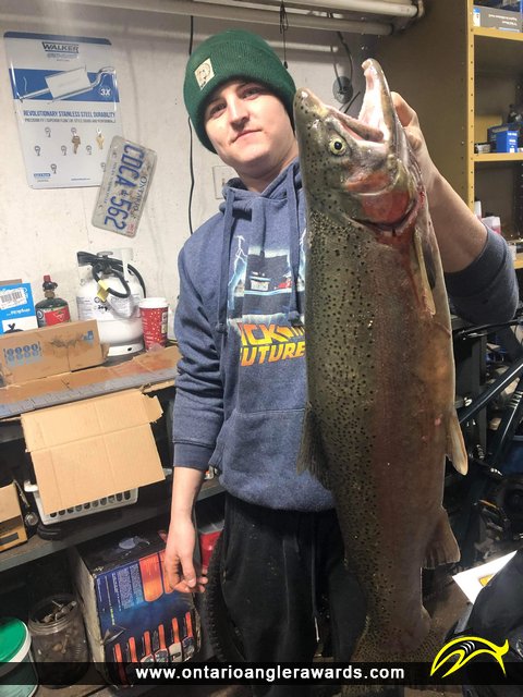 29" Rainbow Trout caught on Lake Huron