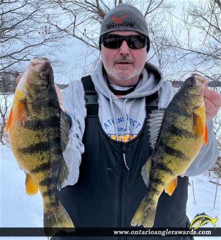 13" Yellow Perch caught on St. Lawrence River