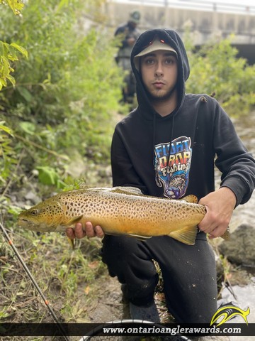 25" Brown Trout caught on Ganaraska River