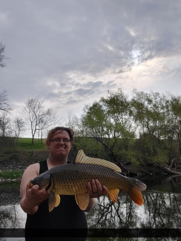 30.75" Carp caught on Conestogo River