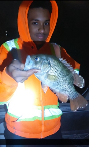 12" Rock Bass caught on Detroit River (Fleming Channel)
