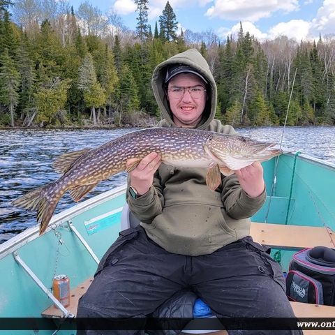 34.5" Northern Pike caught on Perrault Lake