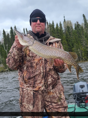 32" Northern Pike caught on Perrault Lake