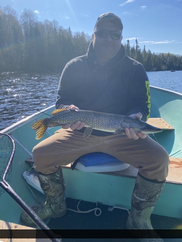 31.5" Northern Pike caught on Perrault Lake