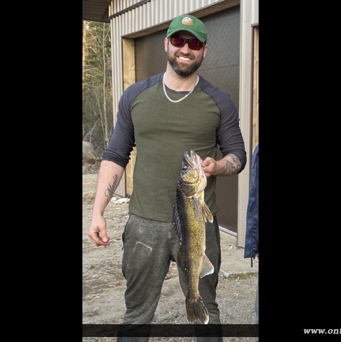 28.5" Walleye caught on Graham Lake