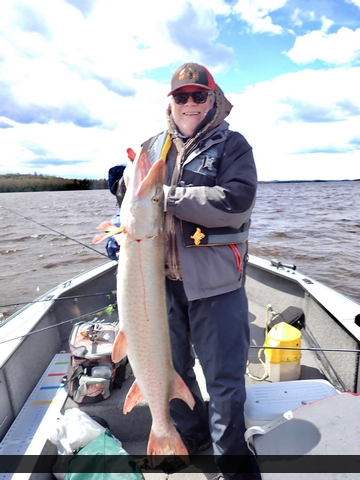 46.5" Muskie caught on Wabigoon Lake