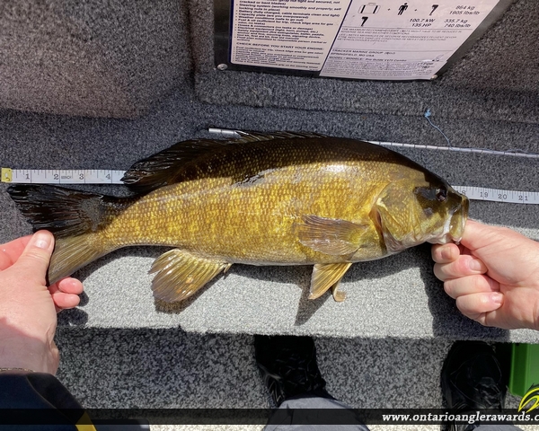 18" Smallmouth Bass caught on Dogtooth Lake