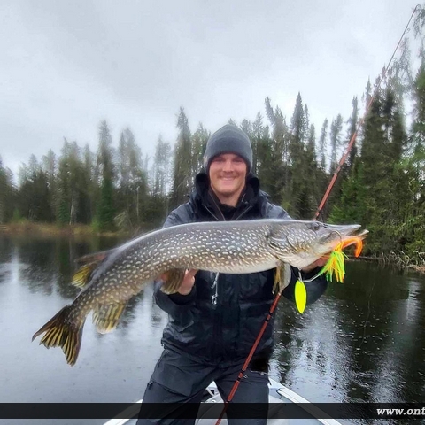 40" Northern Pike caught on Nungesser Lake