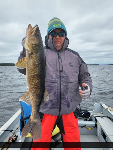29" Walleye caught on Nungesser Lake