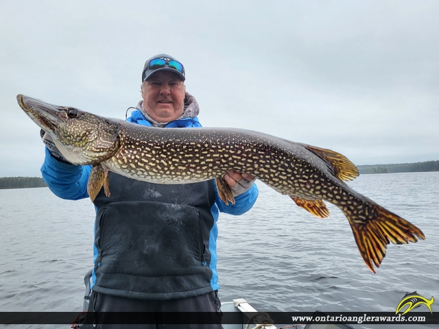 43" Northern Pike caught on Nungesser Lake