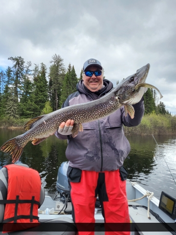 42" Northern Pike caught on Nungesser Lake