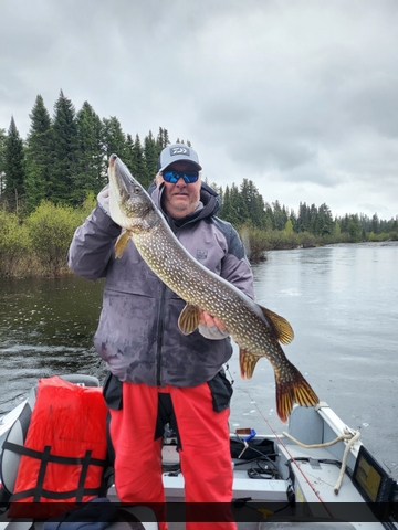 39" Northern Pike caught on Nungesser Lake