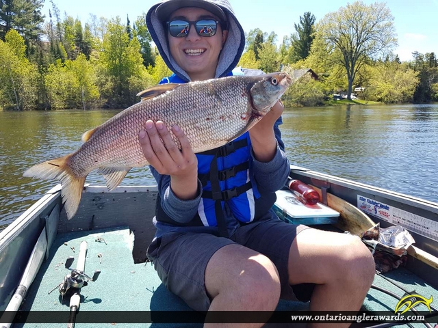 23" Whitefish caught on Winnipeg River